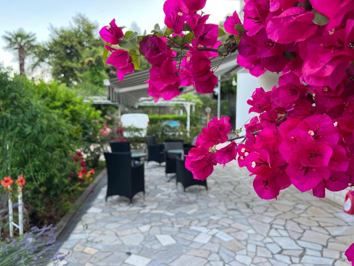 Guesthouse Villa Stanger 2 洛夫兰 外观 照片
